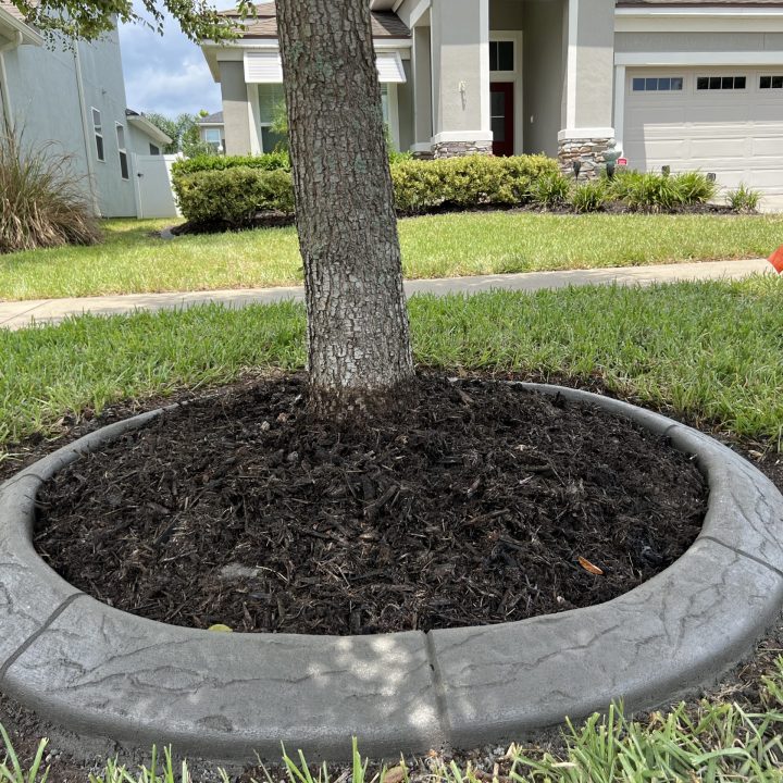 C55328F8-BBA5-45F0-BC96-907C04AF4D64